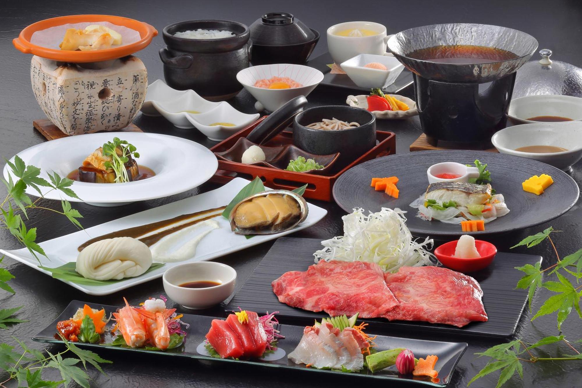 Hotel Ryu Resort And Spa Такаяма Екстериор снимка